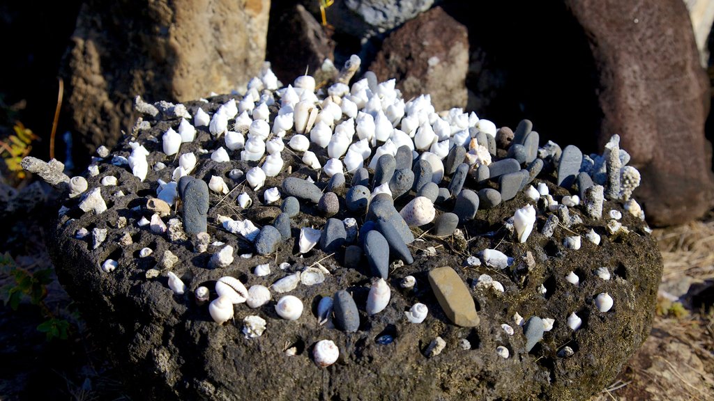 Marae Taputapuatea