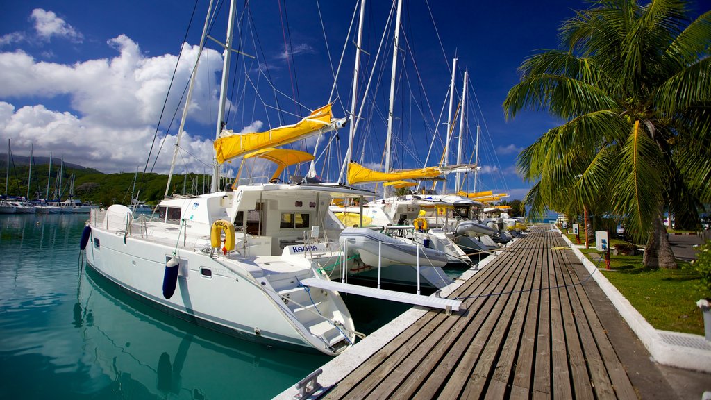 Raiatea showing a marina