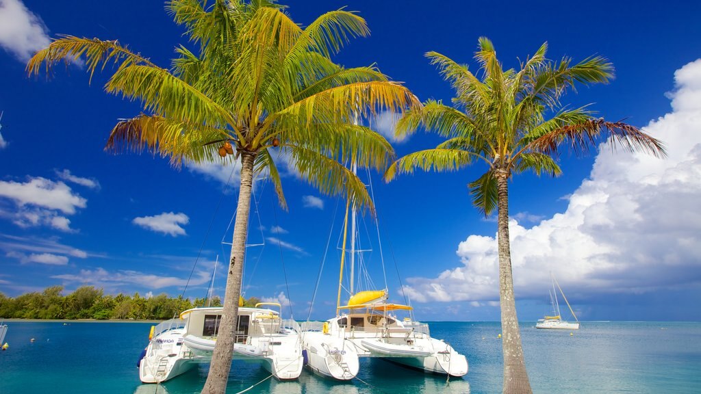 Raiatea showing general coastal views and tropical scenes