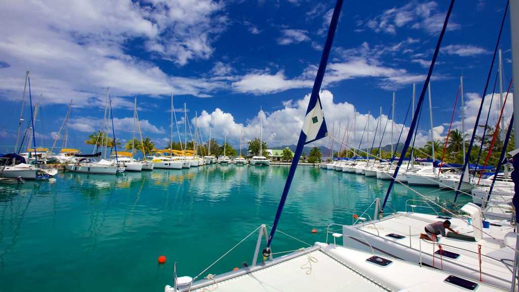 Raiatea showing a marina