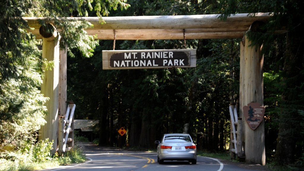 Ashford showing signage and forest scenes