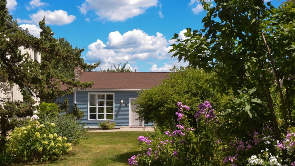 Danbury showing a house and a garden