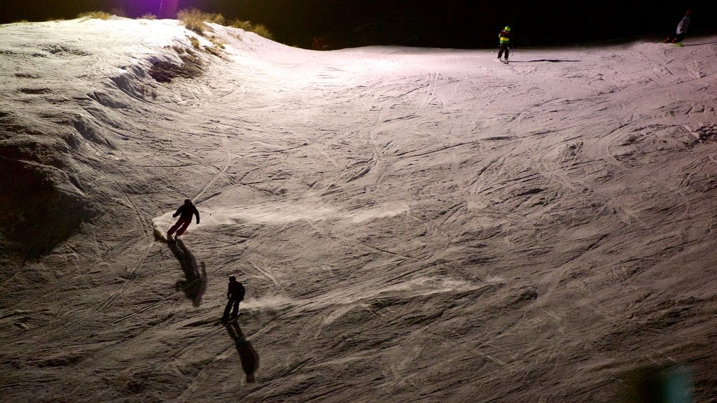 Domaine skiable de Coronet Peak qui includes neige et ski