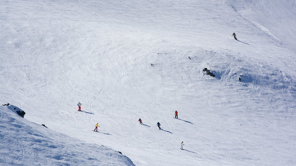 Cardrona Alpine Resort mostrando neve, snowboard e esqui na neve