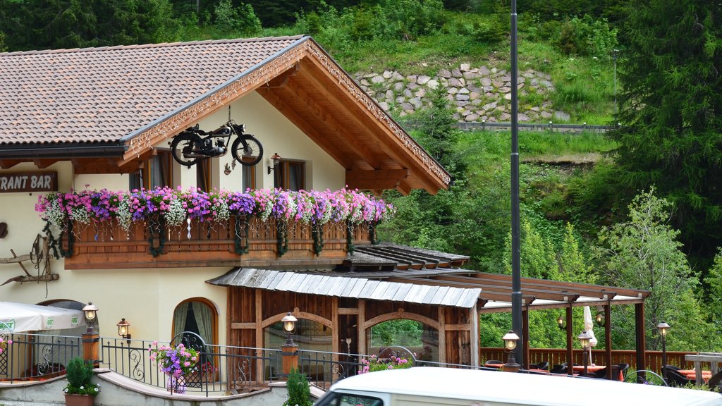 Selva di Val Gardena