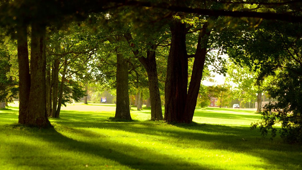 Oromocto showing a garden