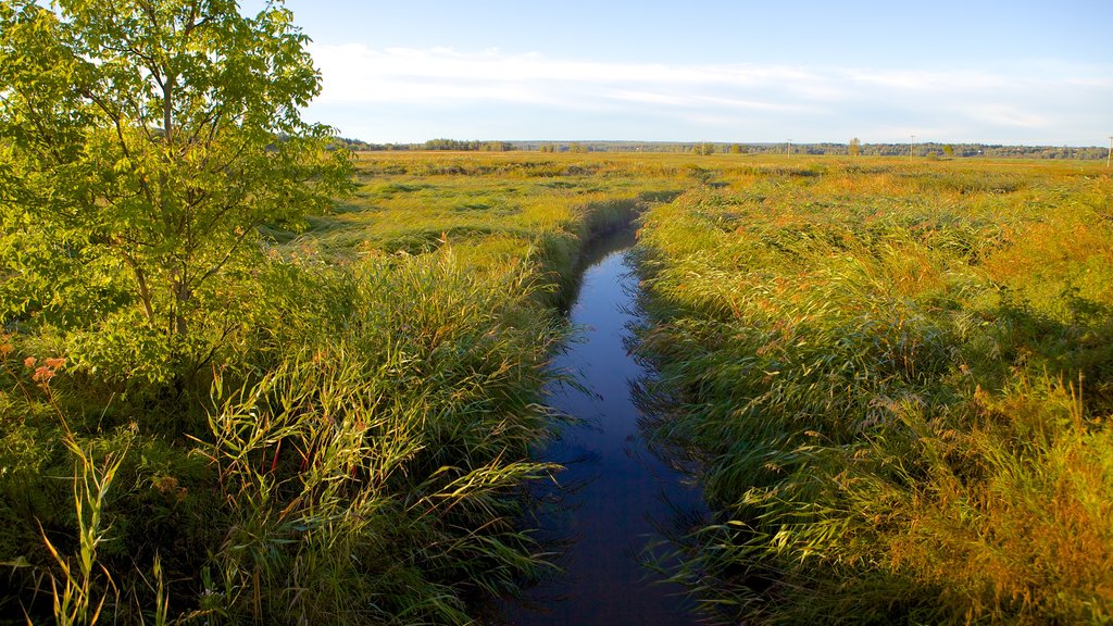 Dieppe que incluye un río o arroyo y escenas tranquilas