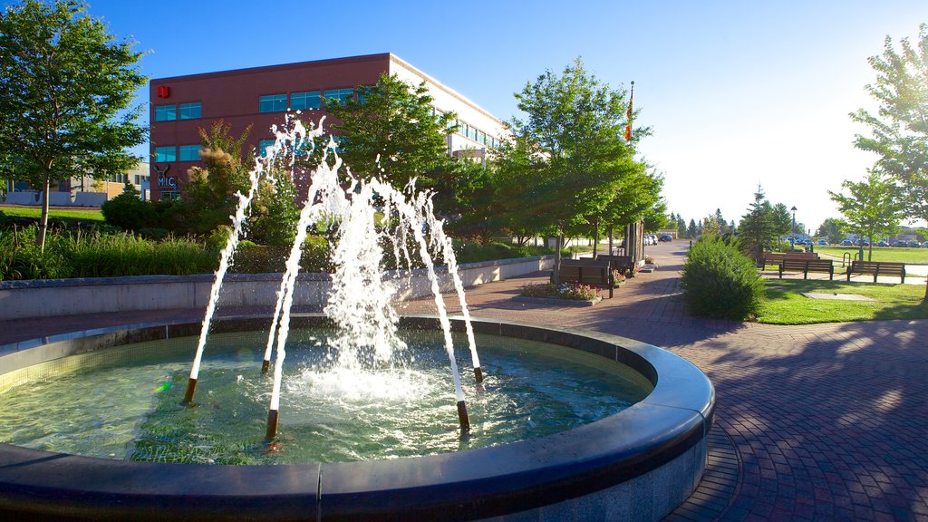 Dieppe showing a fountain and a park