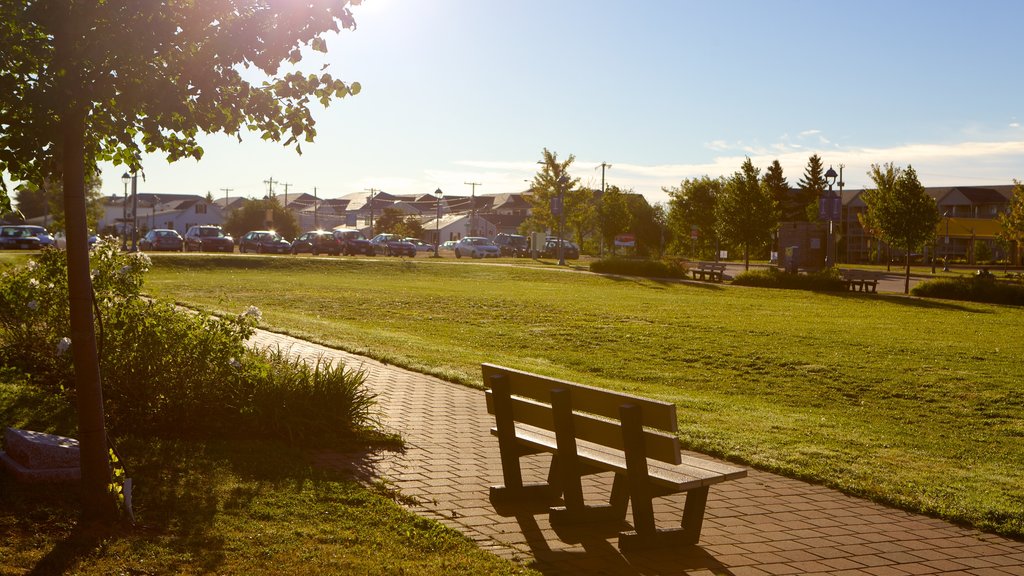 Dieppe featuring a park