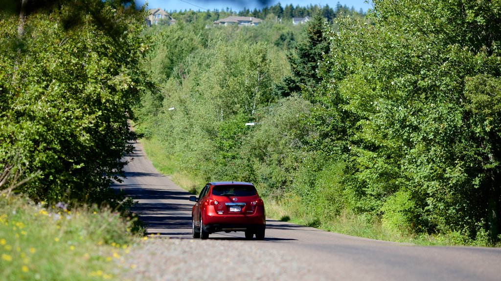 Magnetic Hill which includes tranquil scenes