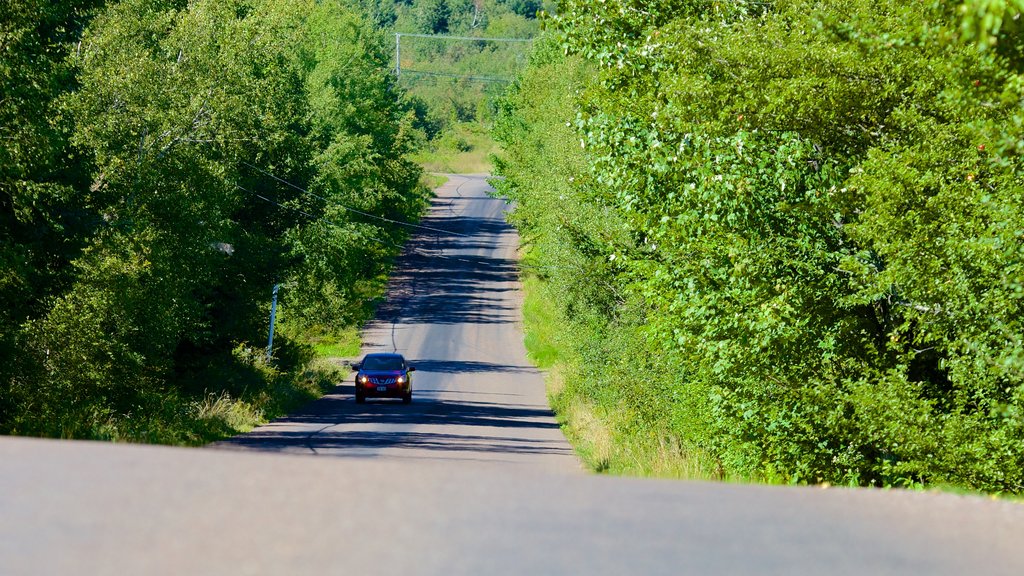 Magnetic Hill showing tranquil scenes