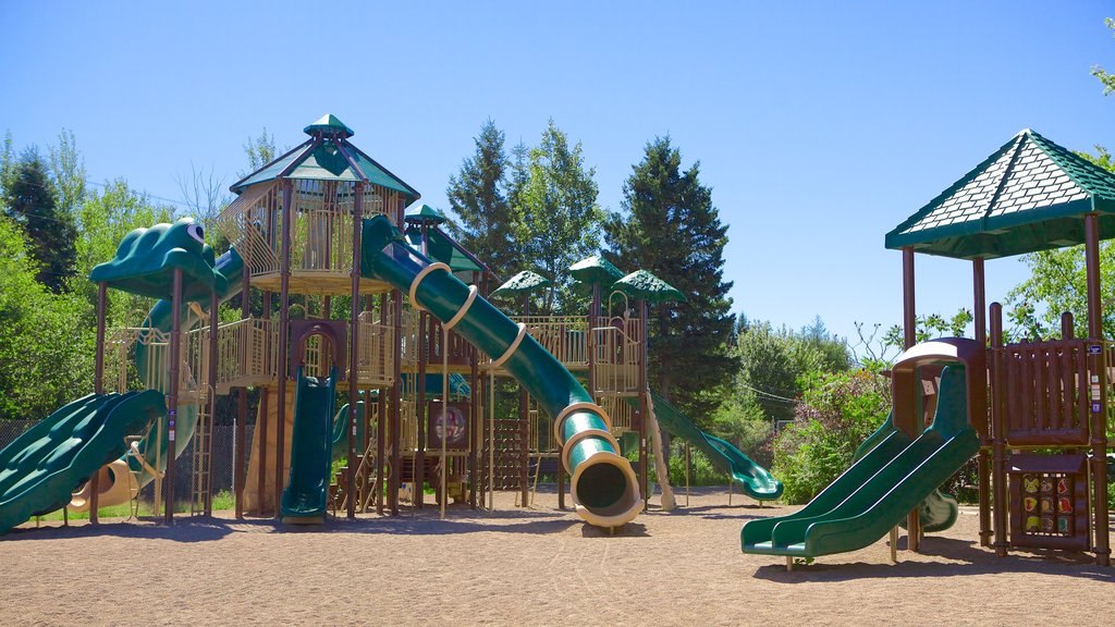 Magnetic Hill Zoo showing a playground