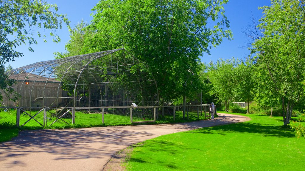 Magnetic Hill Zoo showing a garden