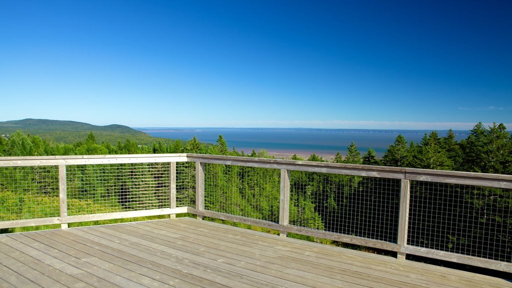 Fundy National Park showing landscape views and views