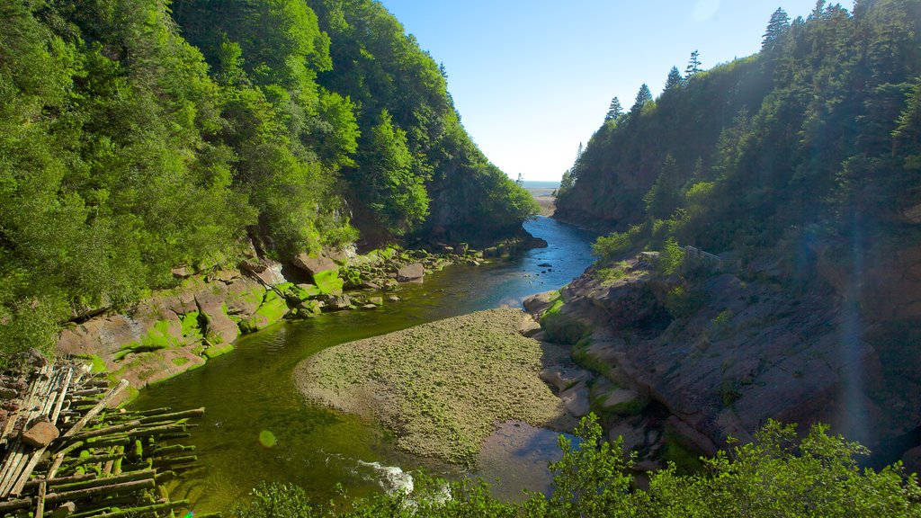 Parc national de Fundy mettant en vedette rivière ou ruisseau