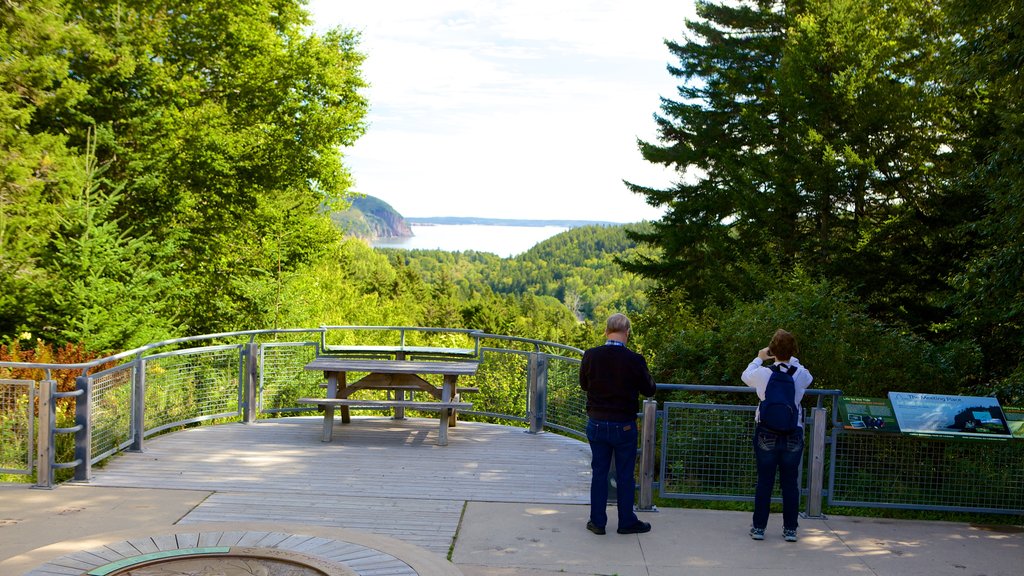 Fundy National Park que incluye imágenes de bosques y vista y también una pareja