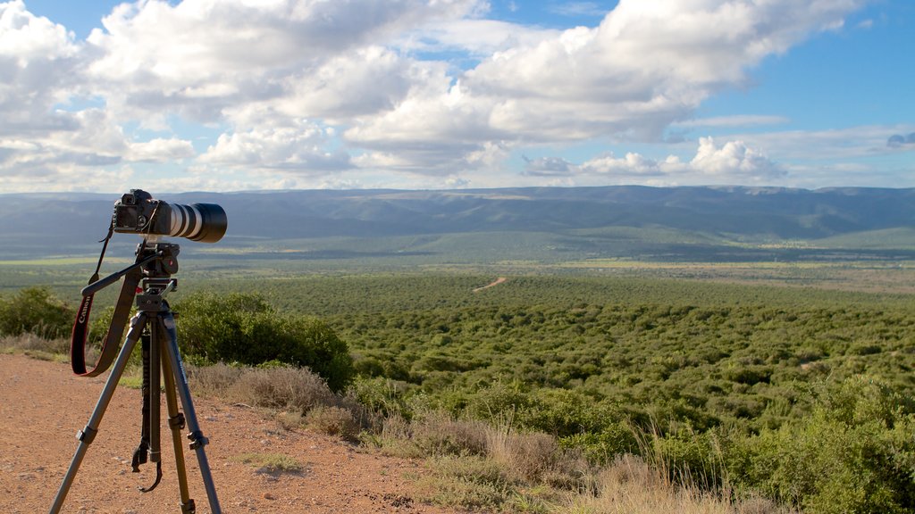 Addo Elephant National Park mit einem ruhige Szenerie und Landschaften