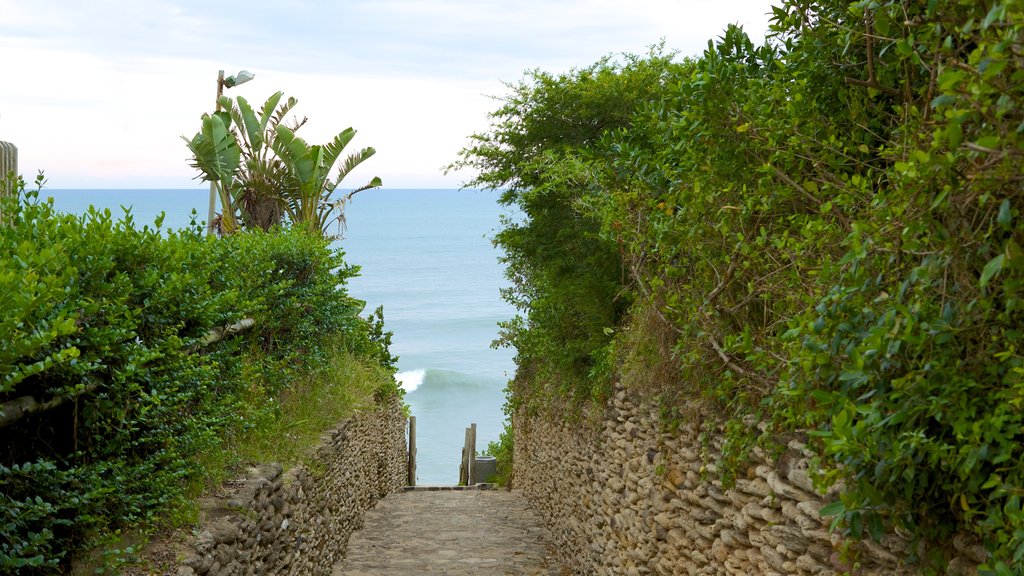 Richards Bay mettant en vedette paysages côtiers