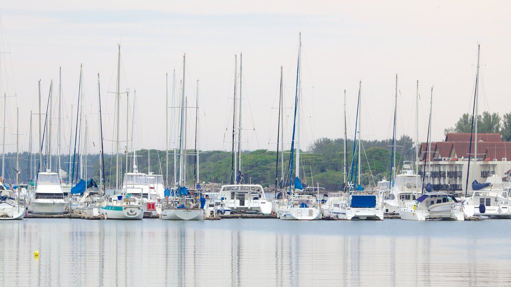 Richards Bay som omfatter udsigt over kystområde og en marina