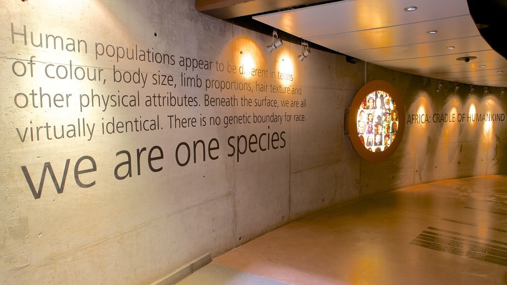 Maropeng showing signage and interior views