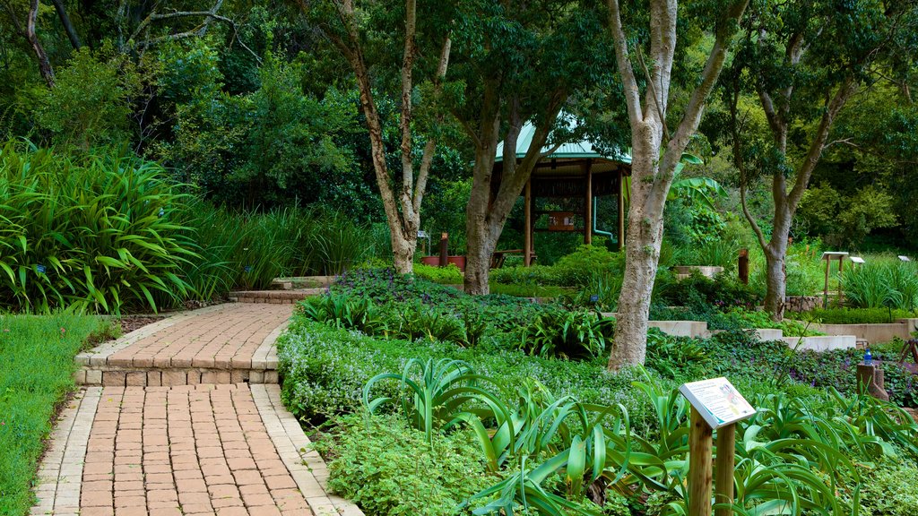 Jardim Botânico Walter Sisulu caracterizando um parque