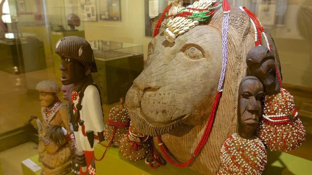 Museum Africa som omfatter interiør