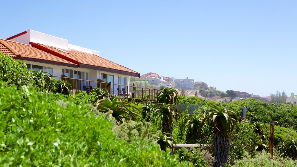 Jeffreys Bay Beach inclusief een klein stadje of dorpje en landschappen