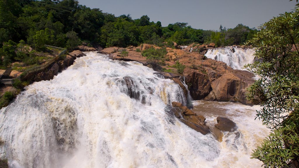 Lowveld Botaniske Have som viser strømfald og en kaskade