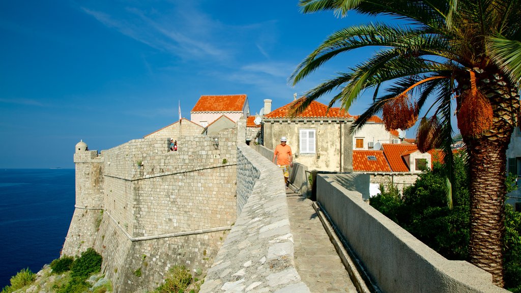 Dubrovnik - Dalmacia Sur mostrando vista general a la costa y elementos patrimoniales