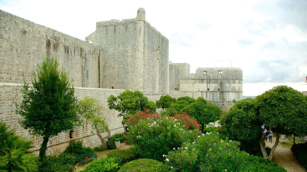 Dubrovnik - Dalmacia Sur ofreciendo un parque y elementos patrimoniales