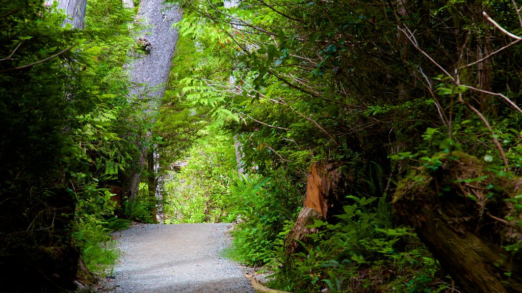 Pacific Rim National Park Reserve featuring a garden