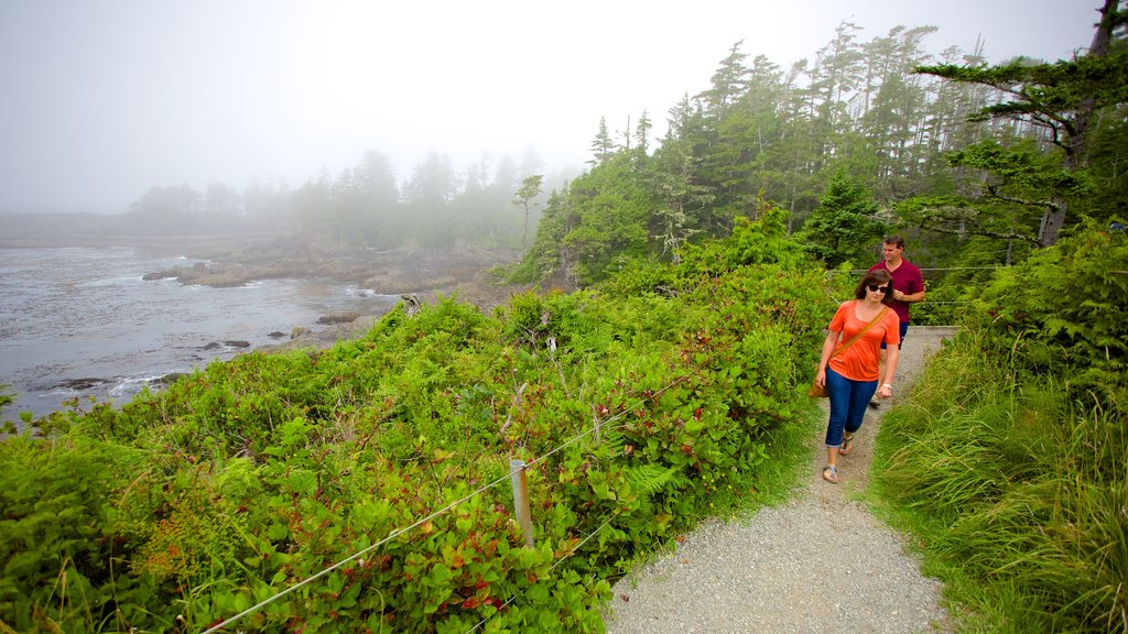 Wild Pacific Trail showing forest scenes, general coastal views and mist or fog