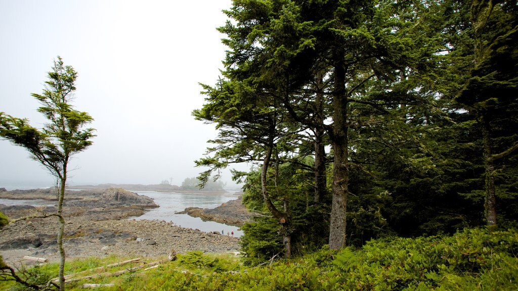 Wild Pacific Trail showing general coastal views and forests