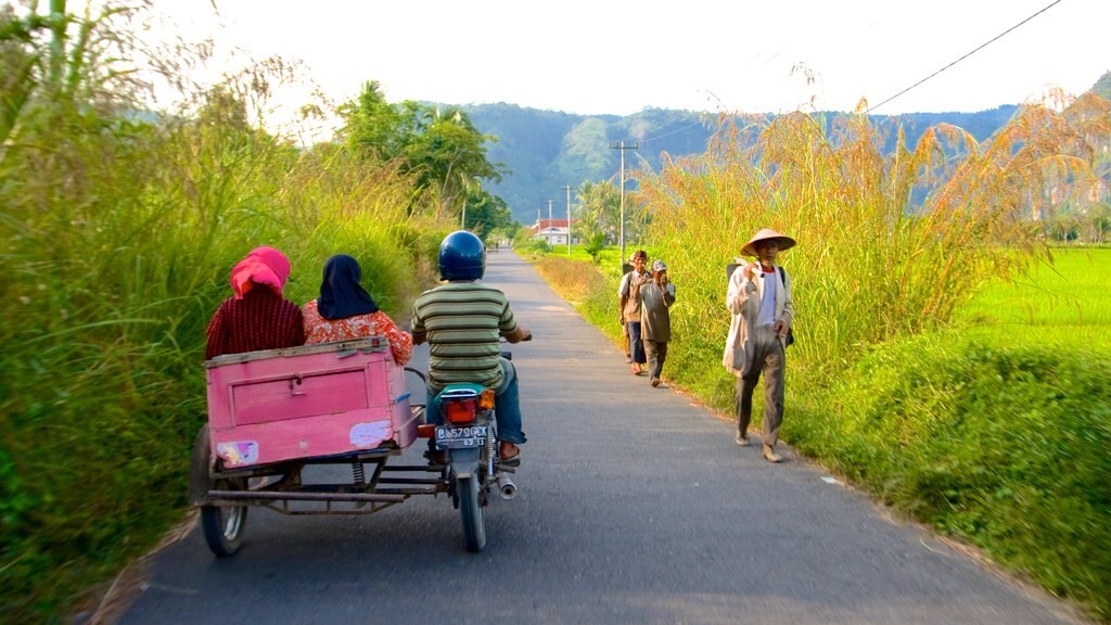 Sumatra which includes tranquil scenes as well as a small group of people