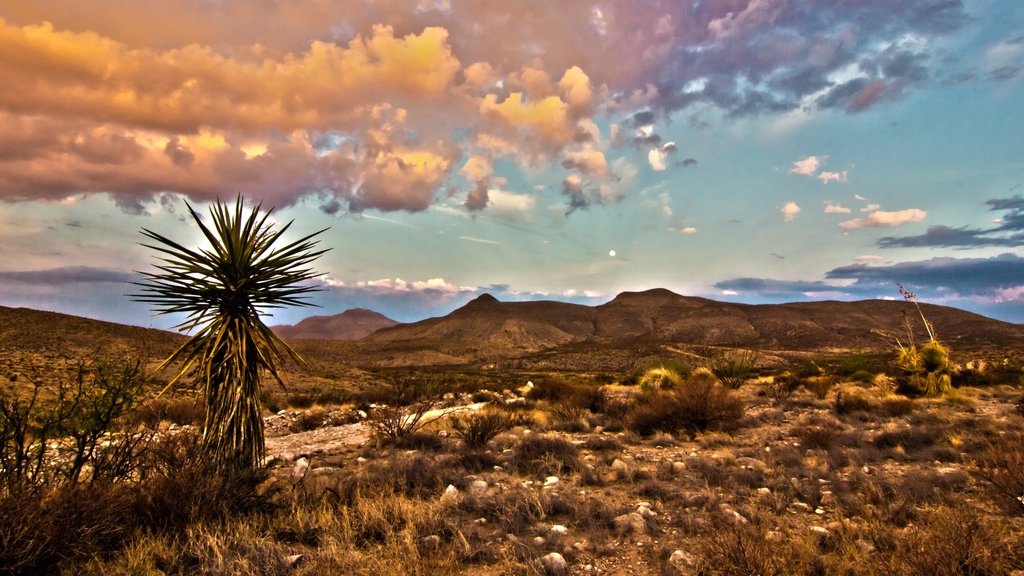 Midland ofreciendo vista al desierto, un atardecer y vista panorámica