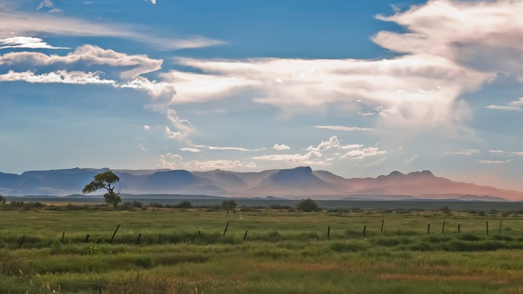 Midland showing landscape views, farmland and tranquil scenes