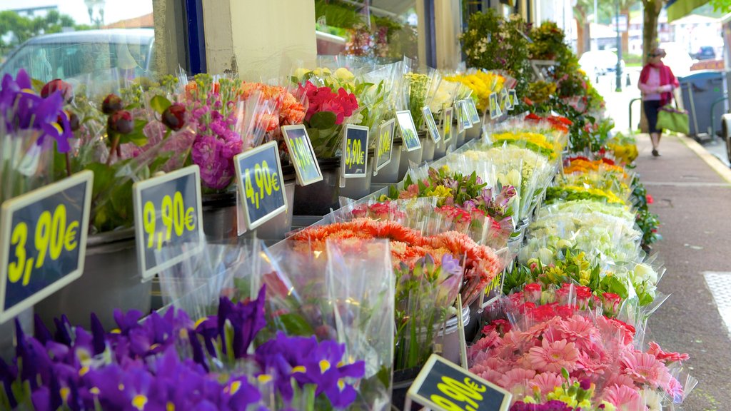 Saint-Jean-de-Luz featuring markets and flowers