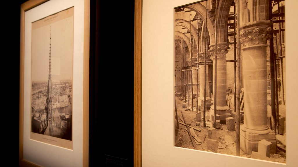 Musee des Beaux-Arts showing interior views