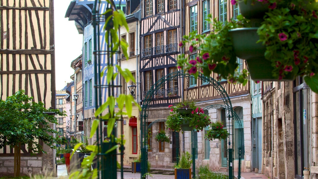 Rouen showing a city