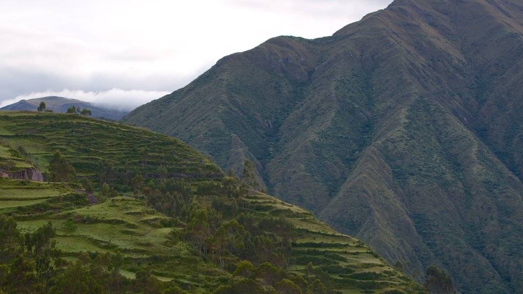 Chincheros mostrando montañas, vista panorámica y escenas tranquilas