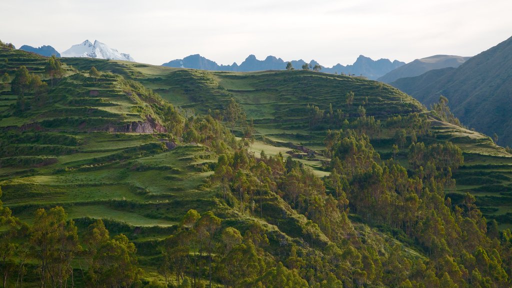 Chincheros que incluye escenas tranquilas, montañas y vistas de paisajes