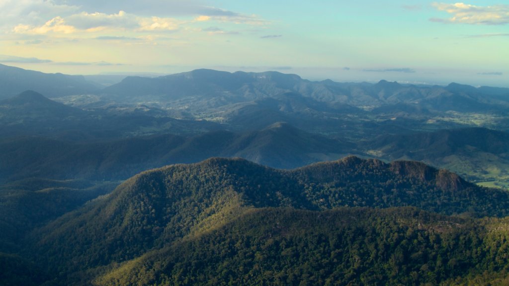 Mount Warning mostrando vistas de paisajes, bosques y montañas