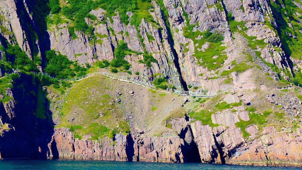 Signal Hill showing rocky coastline