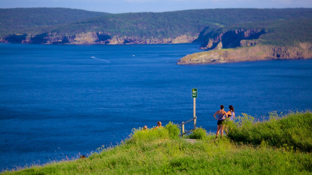 Signal Hill showing rugged coastline and views