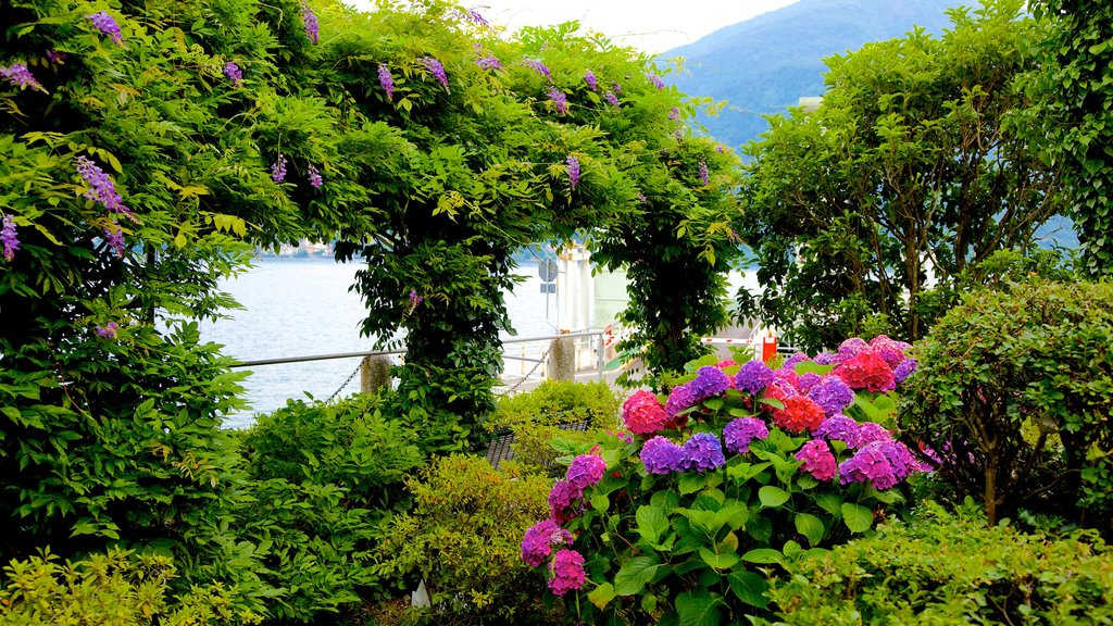 Como showing a park, flowers and general coastal views