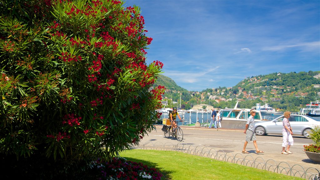 Piazza Cavour which includes flowers and a coastal town