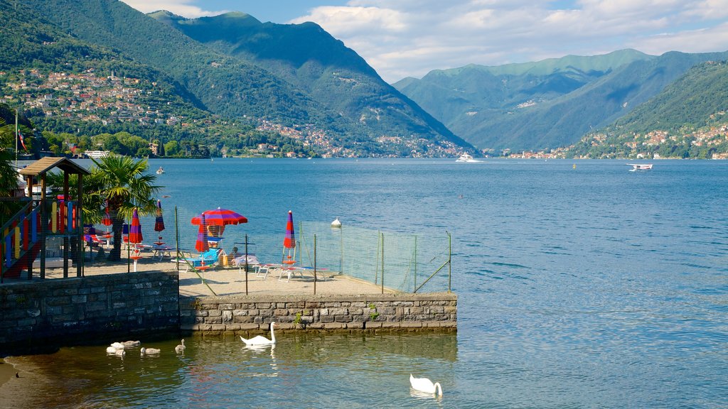 Villa Olmo que incluye una ciudad costera, vistas generales de la costa y una bahía o puerto