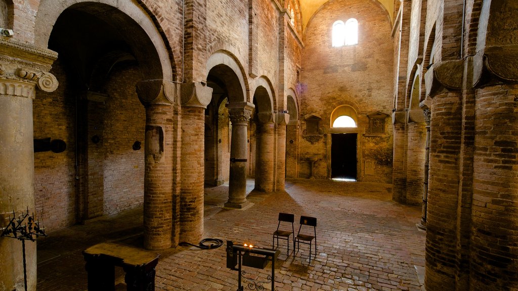 Basilica Santo Stefano som viser en kirke eller en katedral, interiør og kulturarvsgenstande