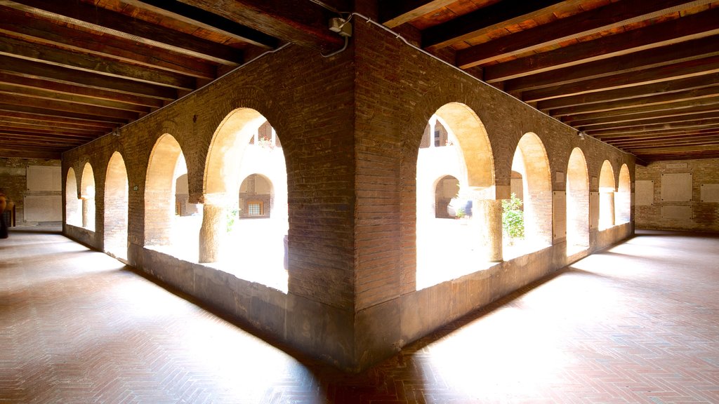 Basílica Santo Stefano que incluye aspectos religiosos, arquitectura patrimonial y una iglesia o catedral