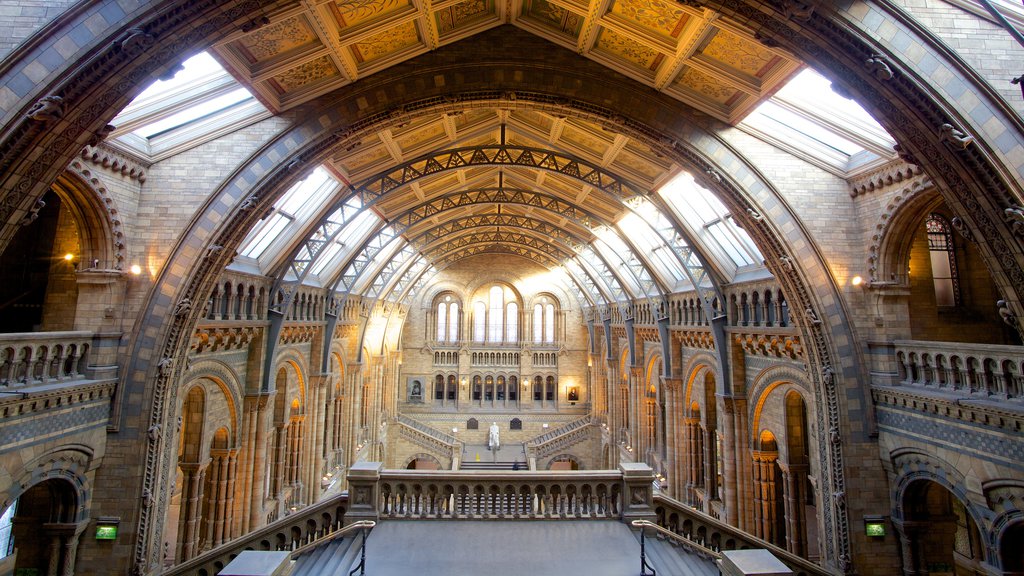 London Natural History Museum mostrando vistas internas, arquitetura de patrimônio e uma igreja ou catedral